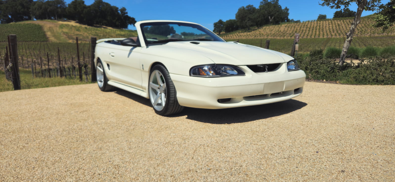 cobras mobile detailing